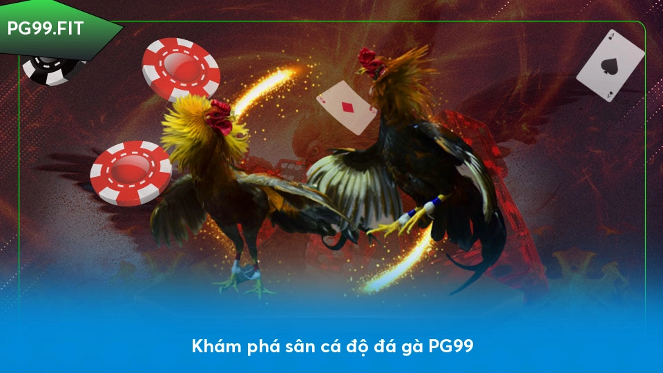 Đá gà PG99 - Nền tảng cá cược đá gà uy tín và an toàn Khám phá sân cá độ đá gà PG99