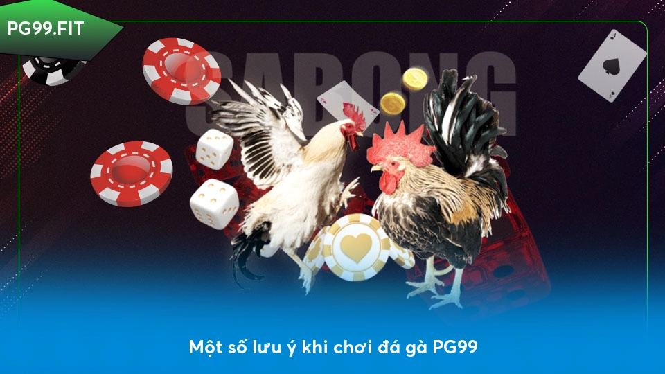 Đá gà PG99 - Nền tảng cá cược đá gà uy tín và an toàn Một số lưu ý khi chơi đá gà PG99